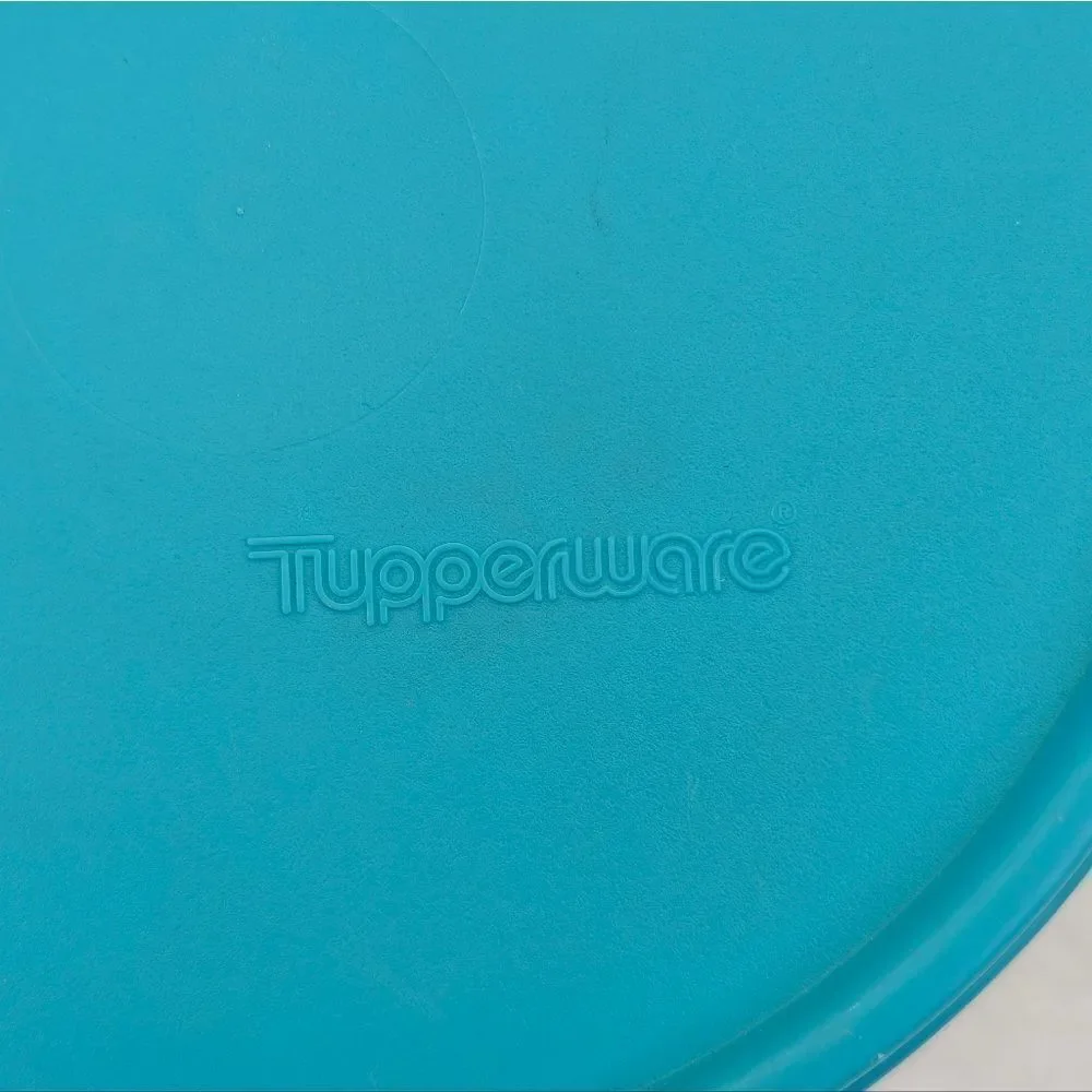 Tupperware TupperCare 2552A-2 Microwave Reheatable Divided Dish w/ 2541A-11 Lid